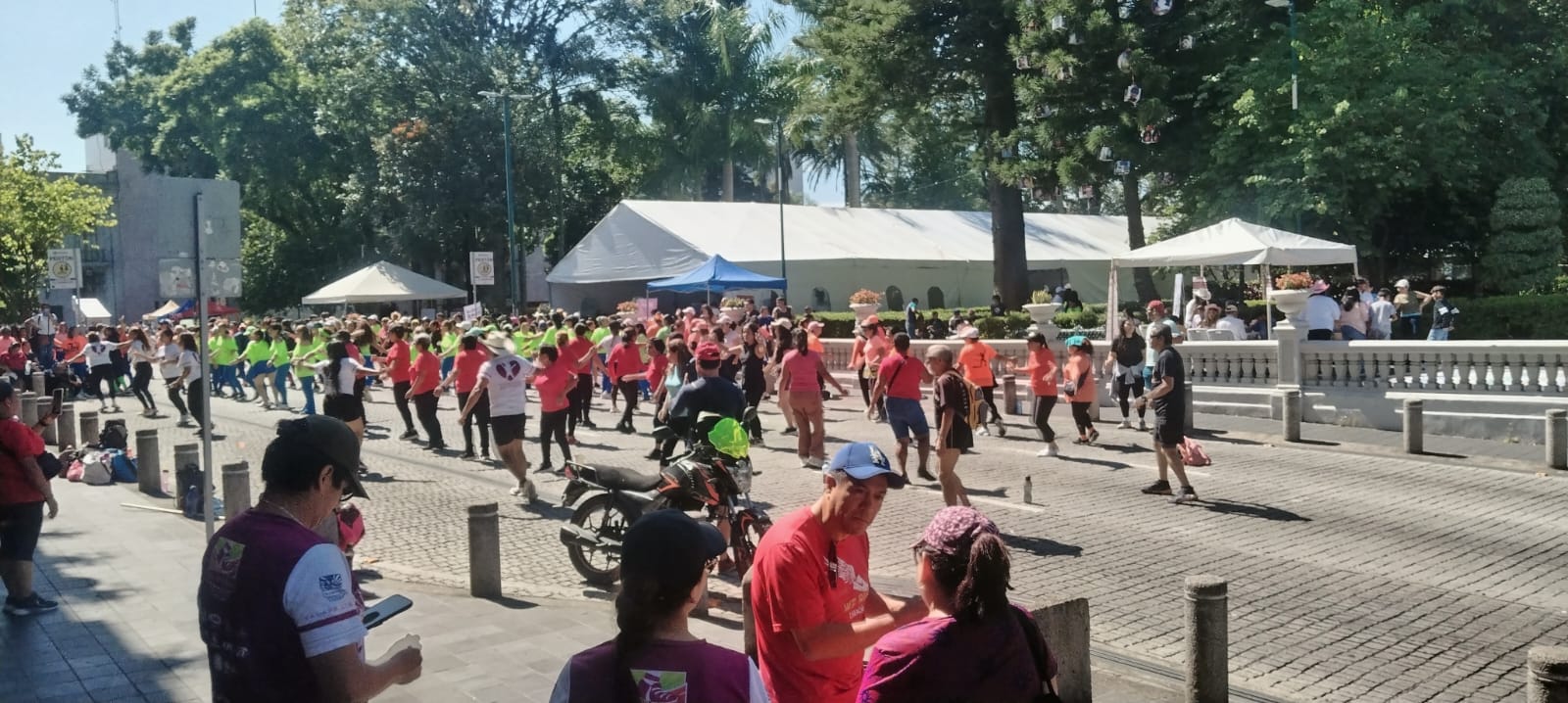 Xalapa correrá por la donación de órganos en ruta recreativa este domingo