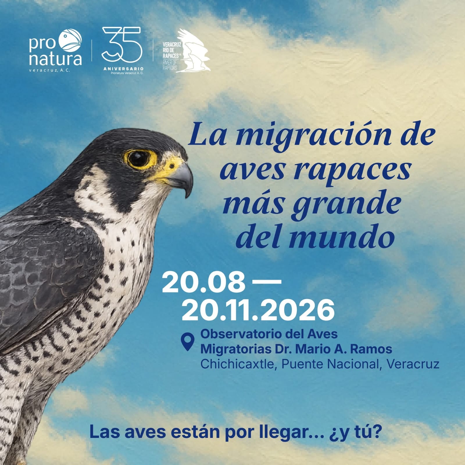 Puente Nacional alista migración de aves rapaces en agosto