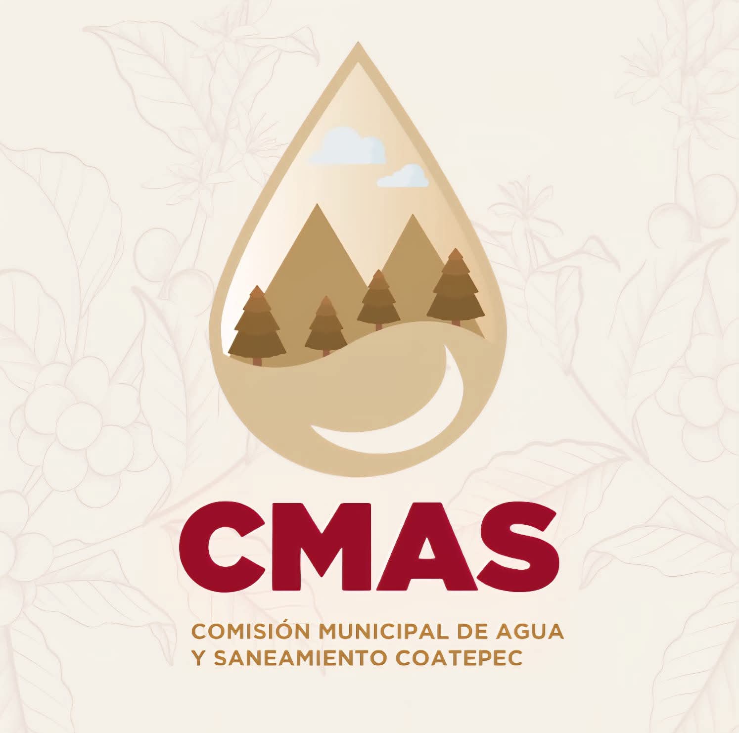 CMAS de Coatepec reorganiza áreas y deja dos subdirecciones