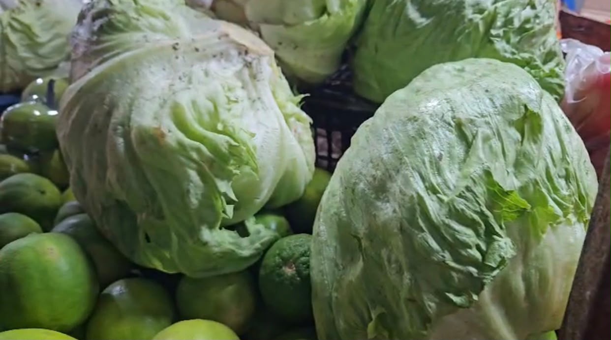 Rumores sobre ciclosporiasis desploman venta de lechuga