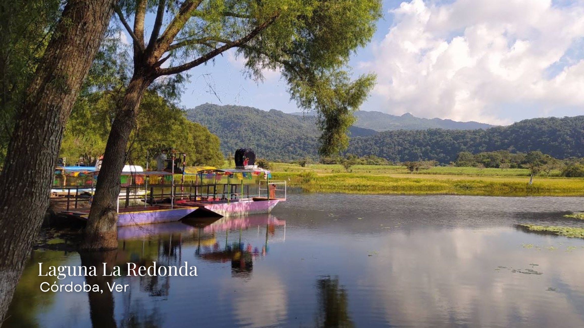 Lagunas de Veracruz, espejos de agua que resisten entre la ciudad y la naturaleza
