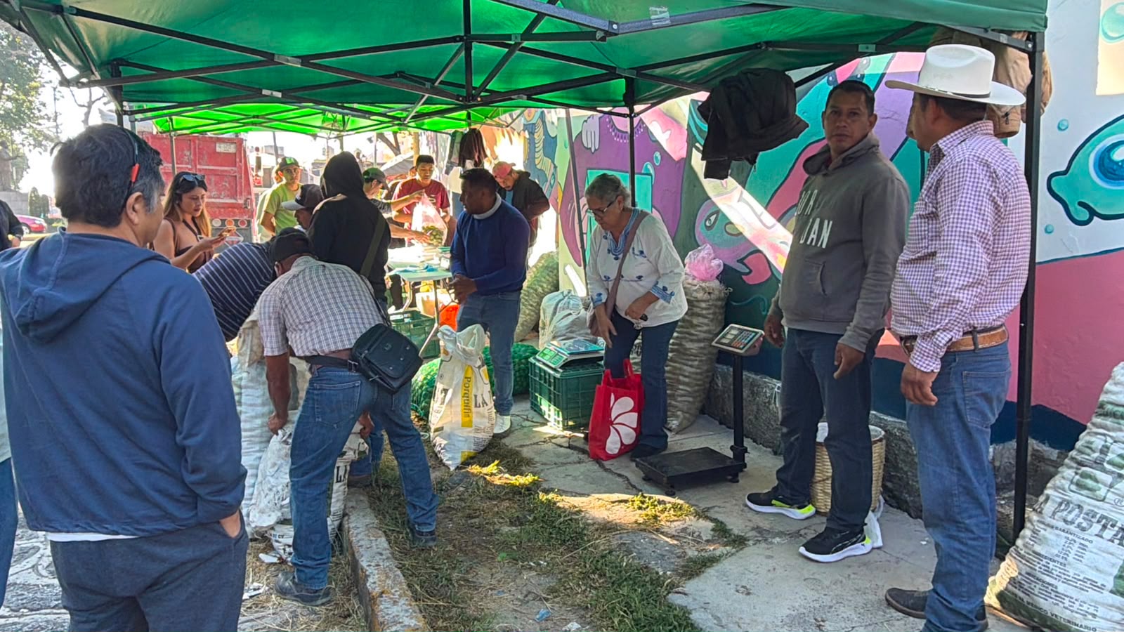 Productores de Tatatila venden higo en Xalapa a solo 15 pesos
