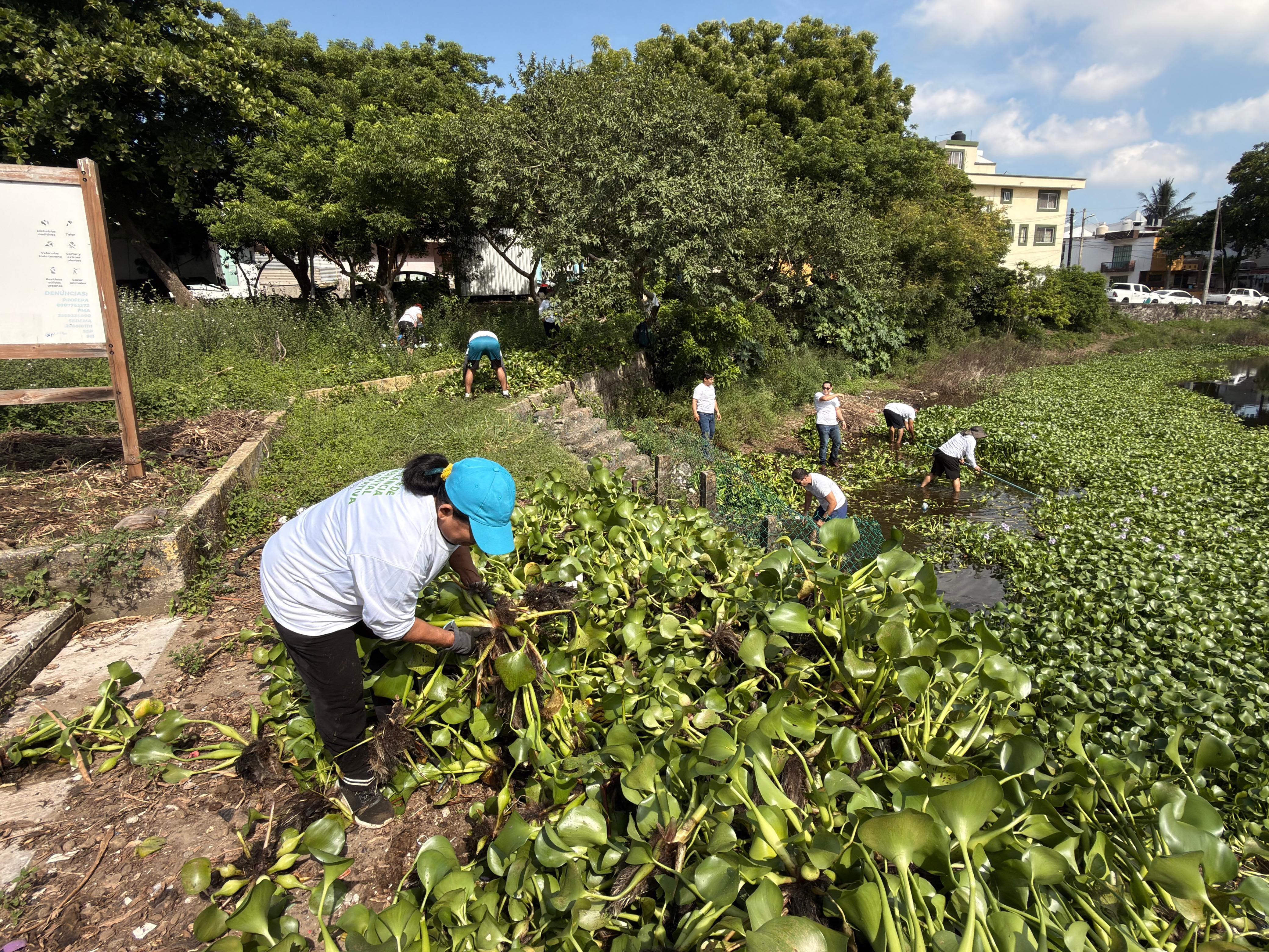 Retiran más de 100 toneladas de residuos en lagunas de la ciudad de Veracruz