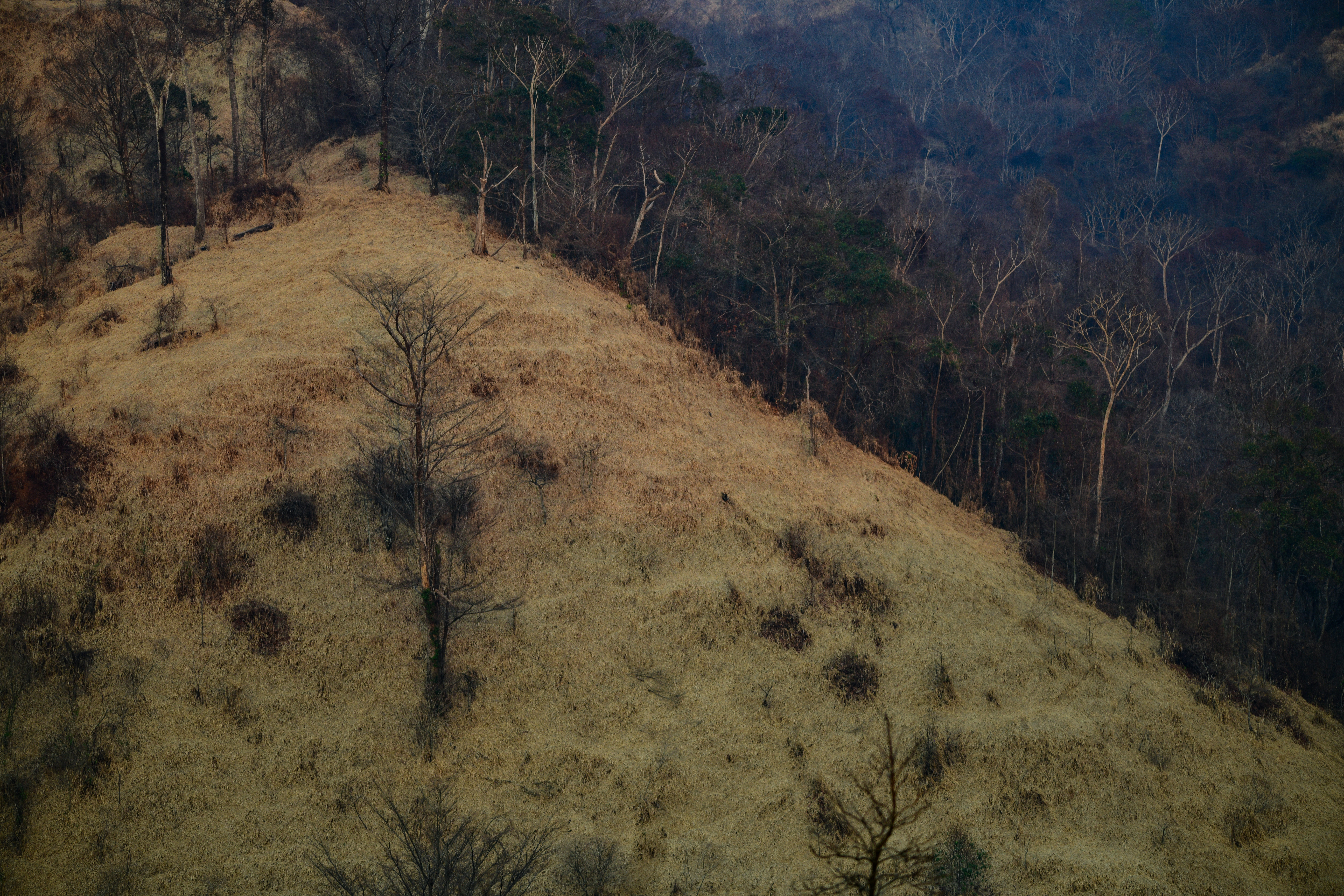 Pemex deberá remediar zona del pozo Krem-1 en Las Choapas
