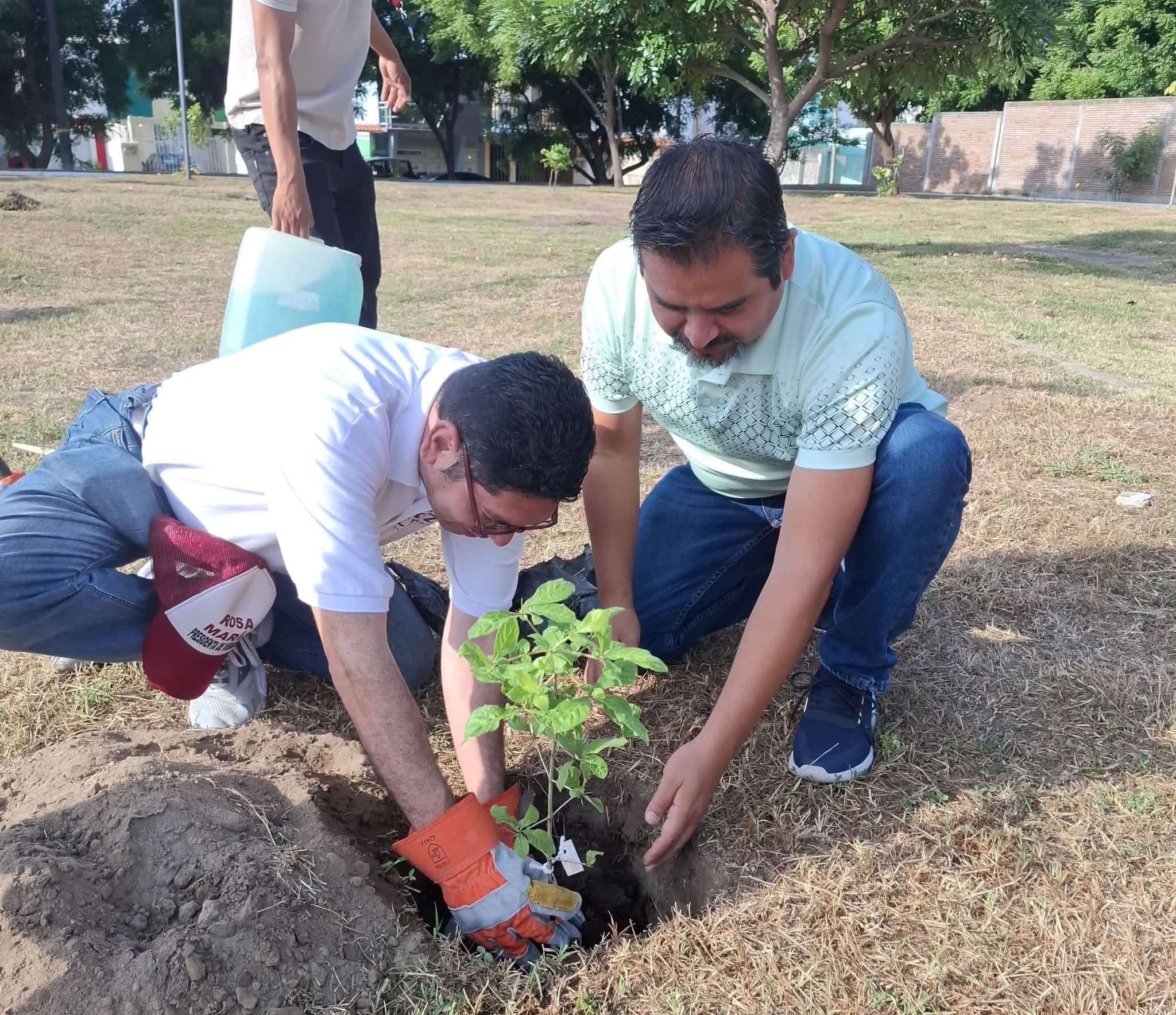 Veracruz se suma a la Jornada Nacional de Reforestación 2026