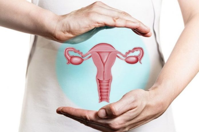 IMSS llama a prevenir cáncer cervicouterino en mujeres de Veracruz