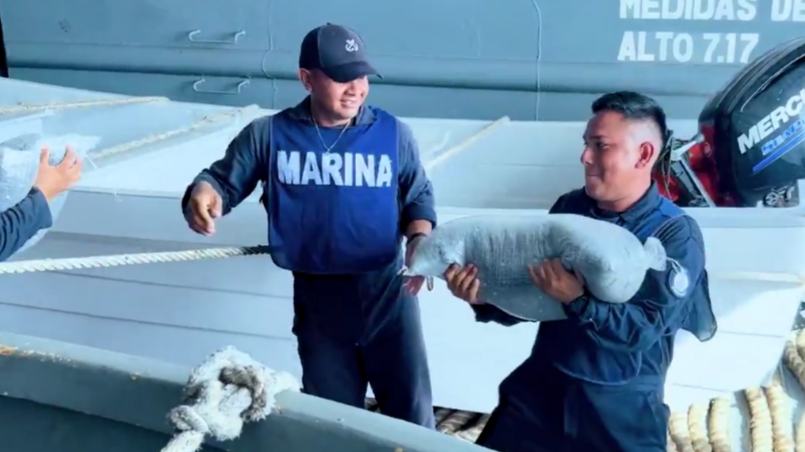 Llega a Venezuela la ayuda humanitaria enviada desde el puerto de Veracruz