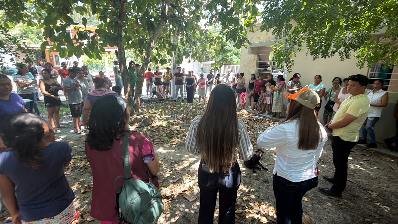 Mueren perros y gatos tras presunto envenenamiento en Tihuatlán