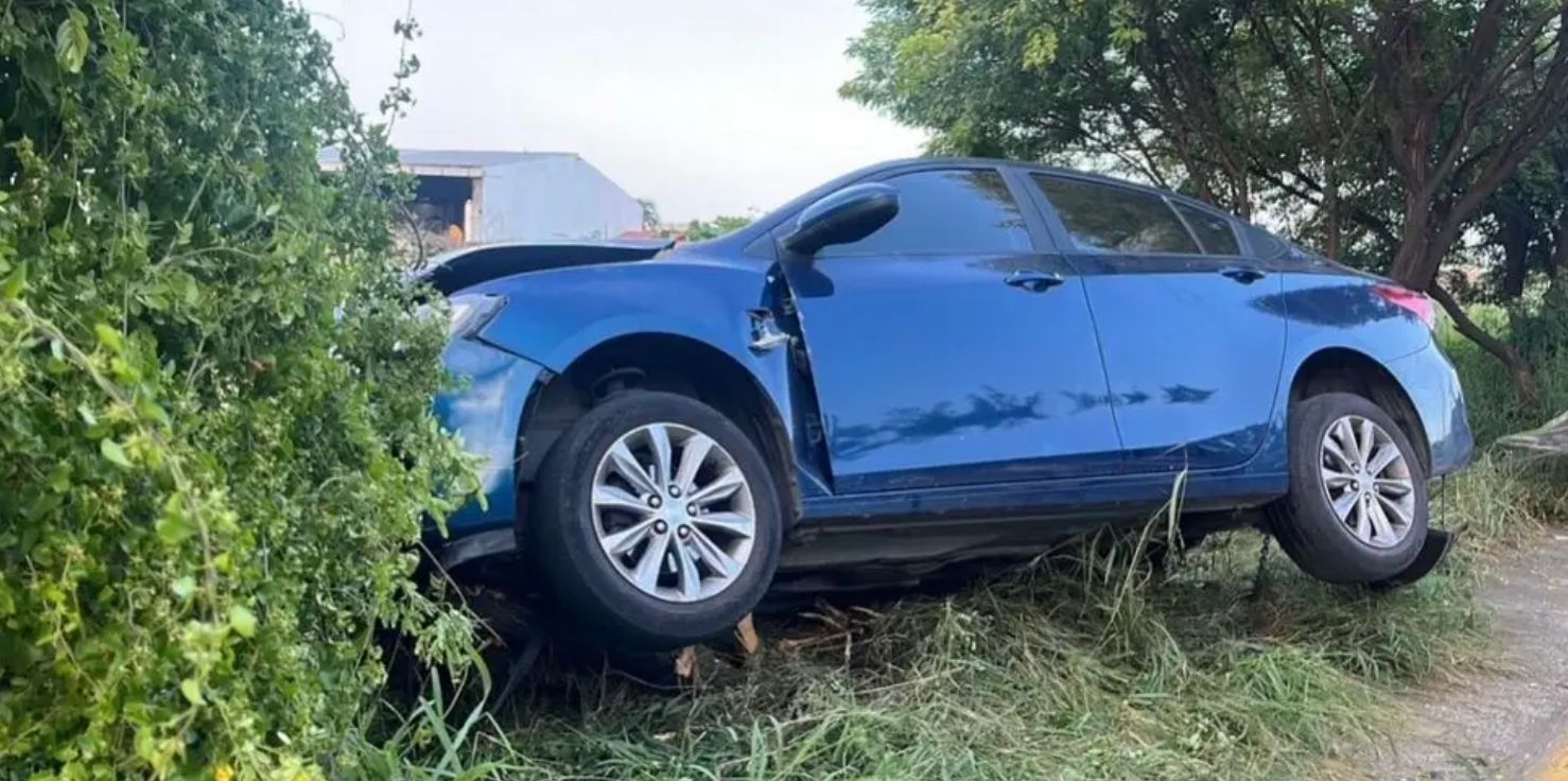 Auto derriba árbol tras accidente en bulevar de Veracruz