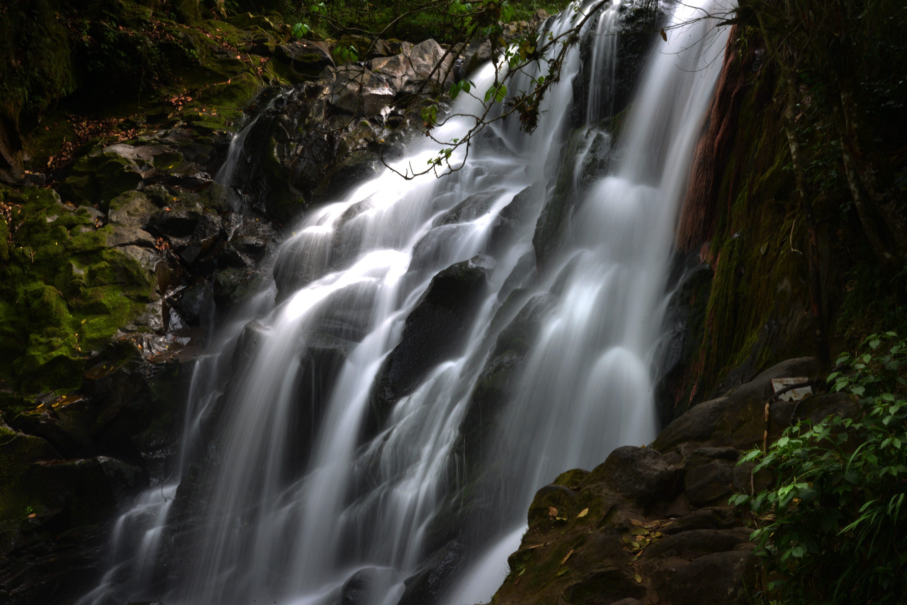 Cascada La Monja, un rincón escondido entre cafetales y bosque de niebla en Xico