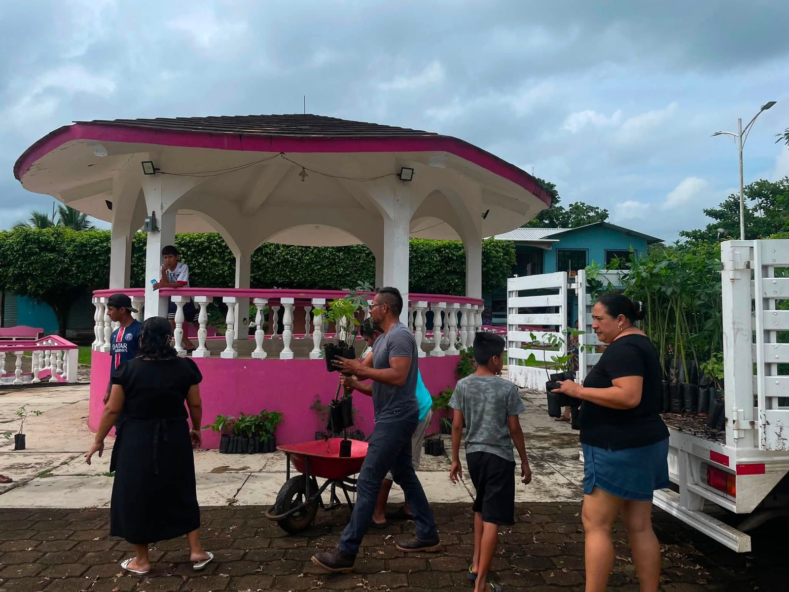 Catemaco entrega 1,165 plantas para reforestar dos localidades