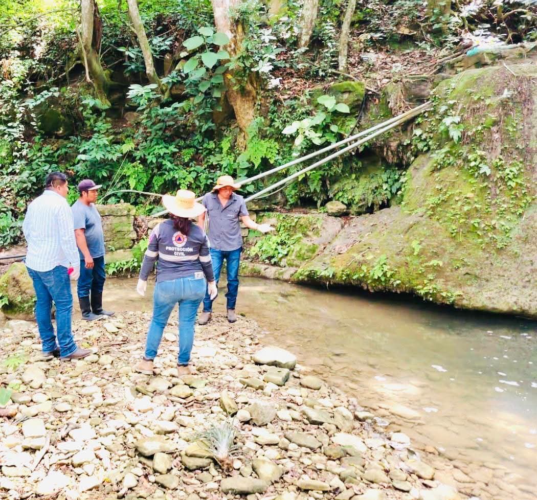 Investigan mortandad de acamayas en Ixhuatlán de Madero