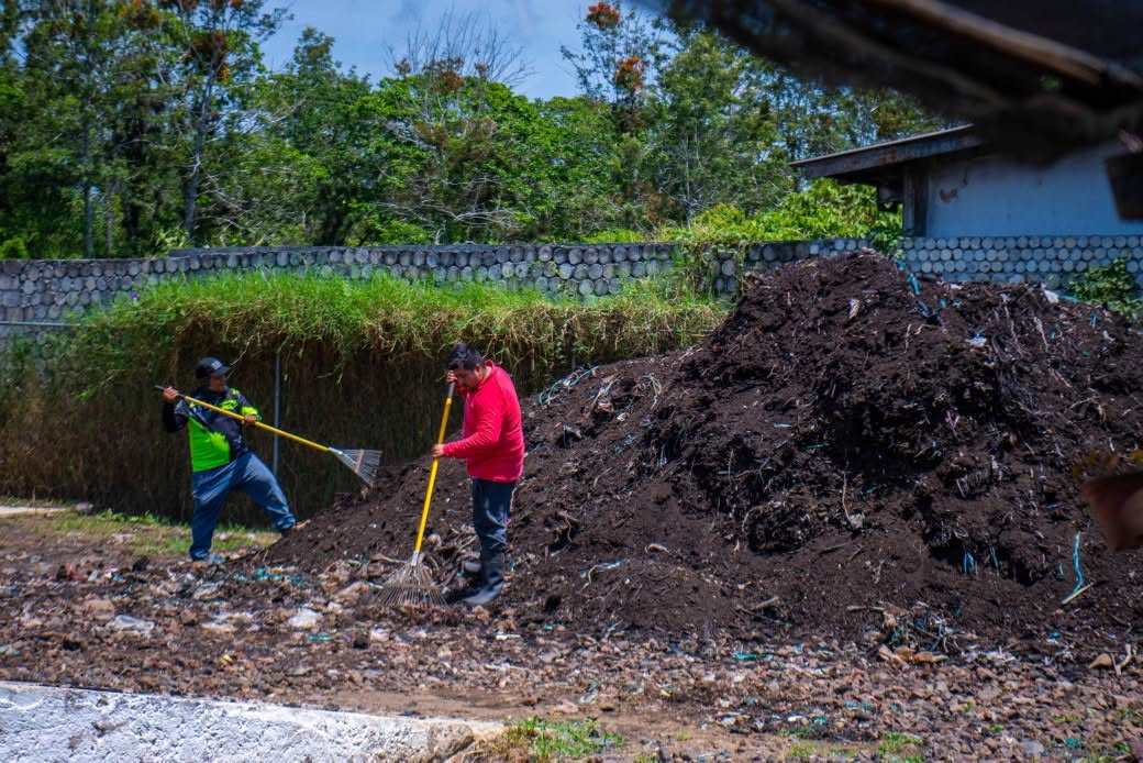 Xalapa busca procesar 90 toneladas de residuos orgánicos en centro de compostaje
