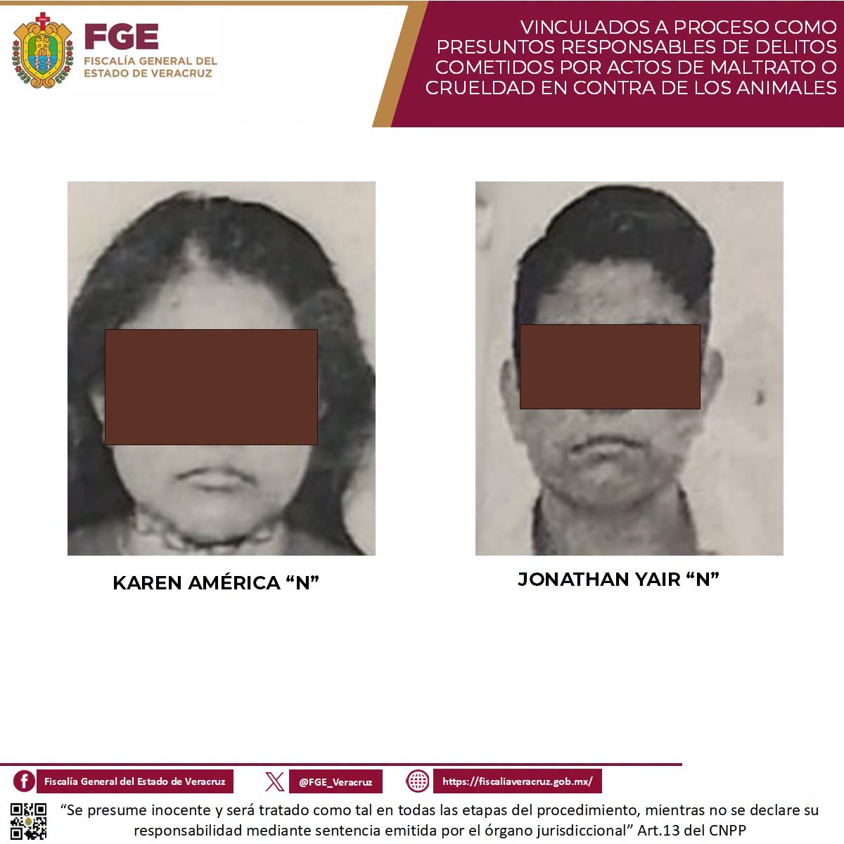Vinculan a proceso a dos personas por maltrato animal en Coatzacoalcos