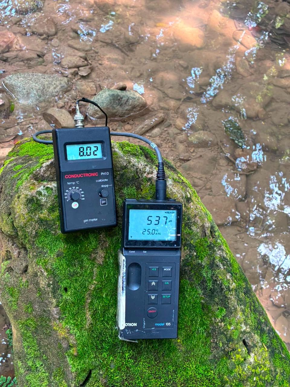 Analizan agua tras mortandad de crustáceos en Ixhuatlán de Madero