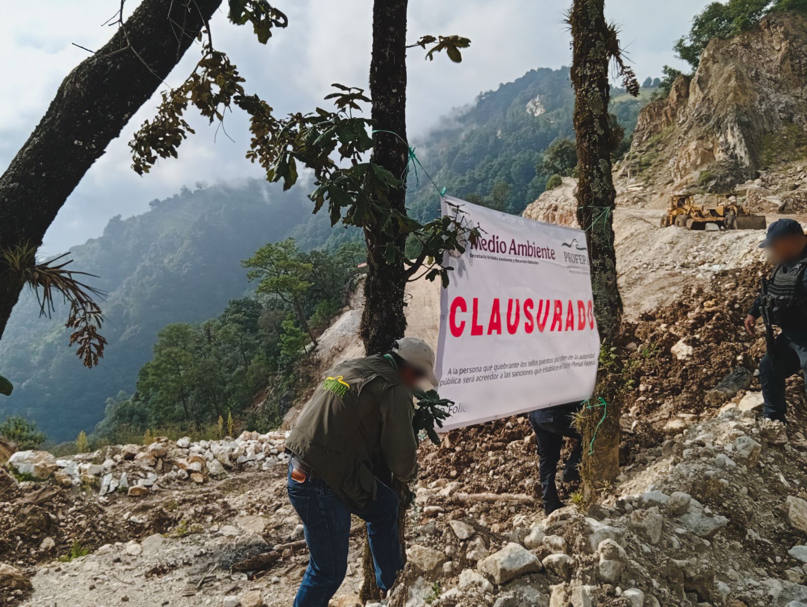 Profepa clausura extracción de mármol y piedra caliza en bosque de Tatatila