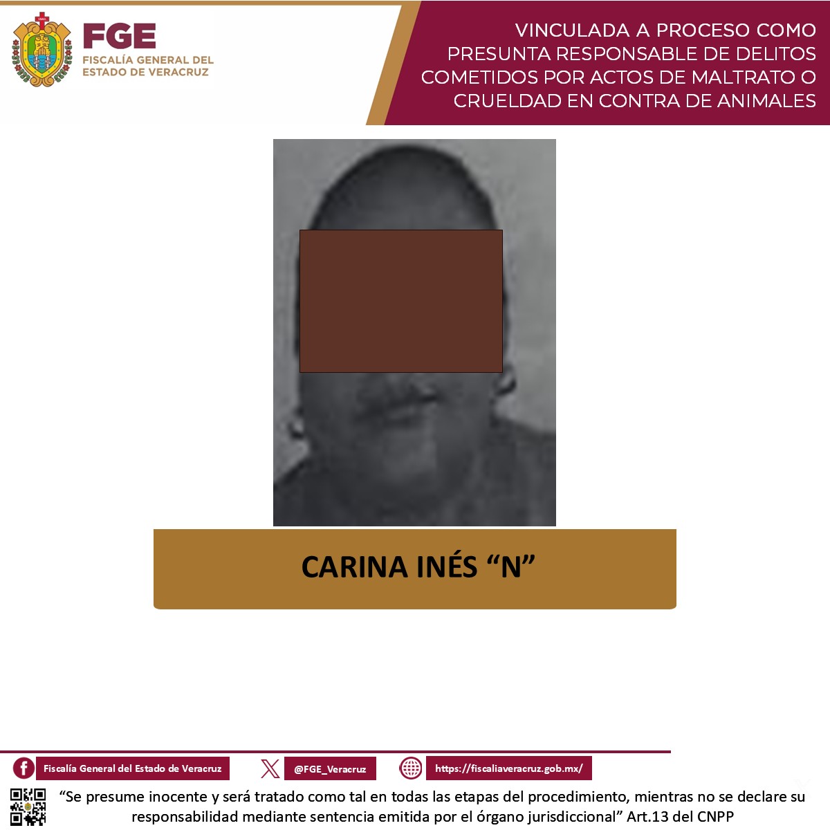 En Coatzacoalcos, vinculan a proceso a presunta responsable de maltrato animal