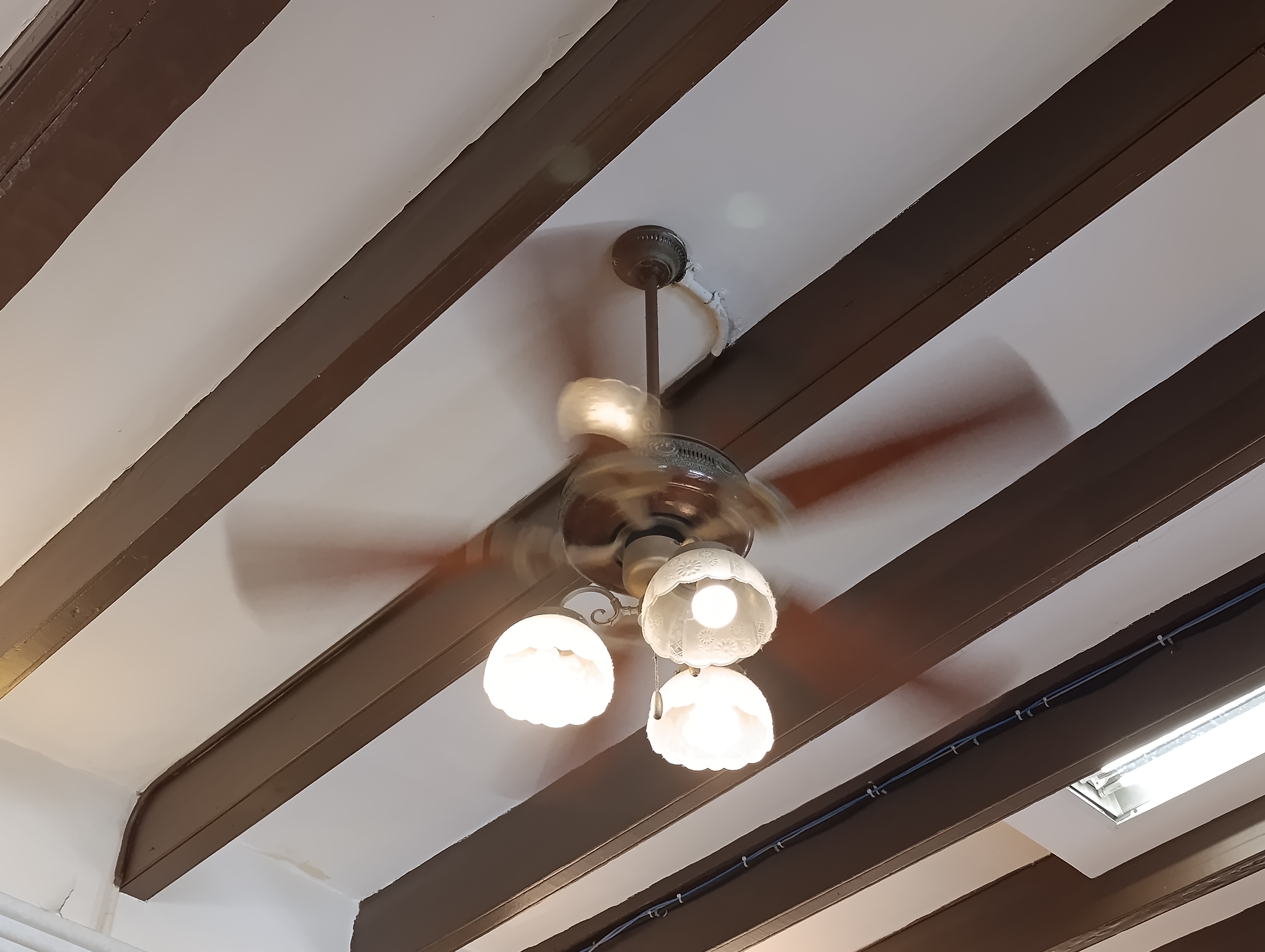 En Veracruz es hasta 241 por ciento más cara la electricidad en comparación con Tabasco