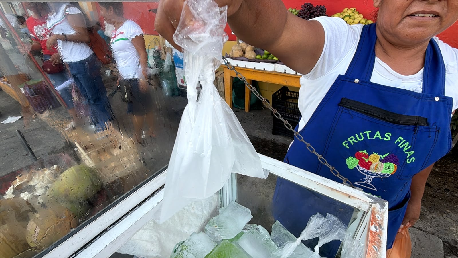 Poza Rica registra 161 casos de dengue; crece uso de remedios caseros y agua de coco