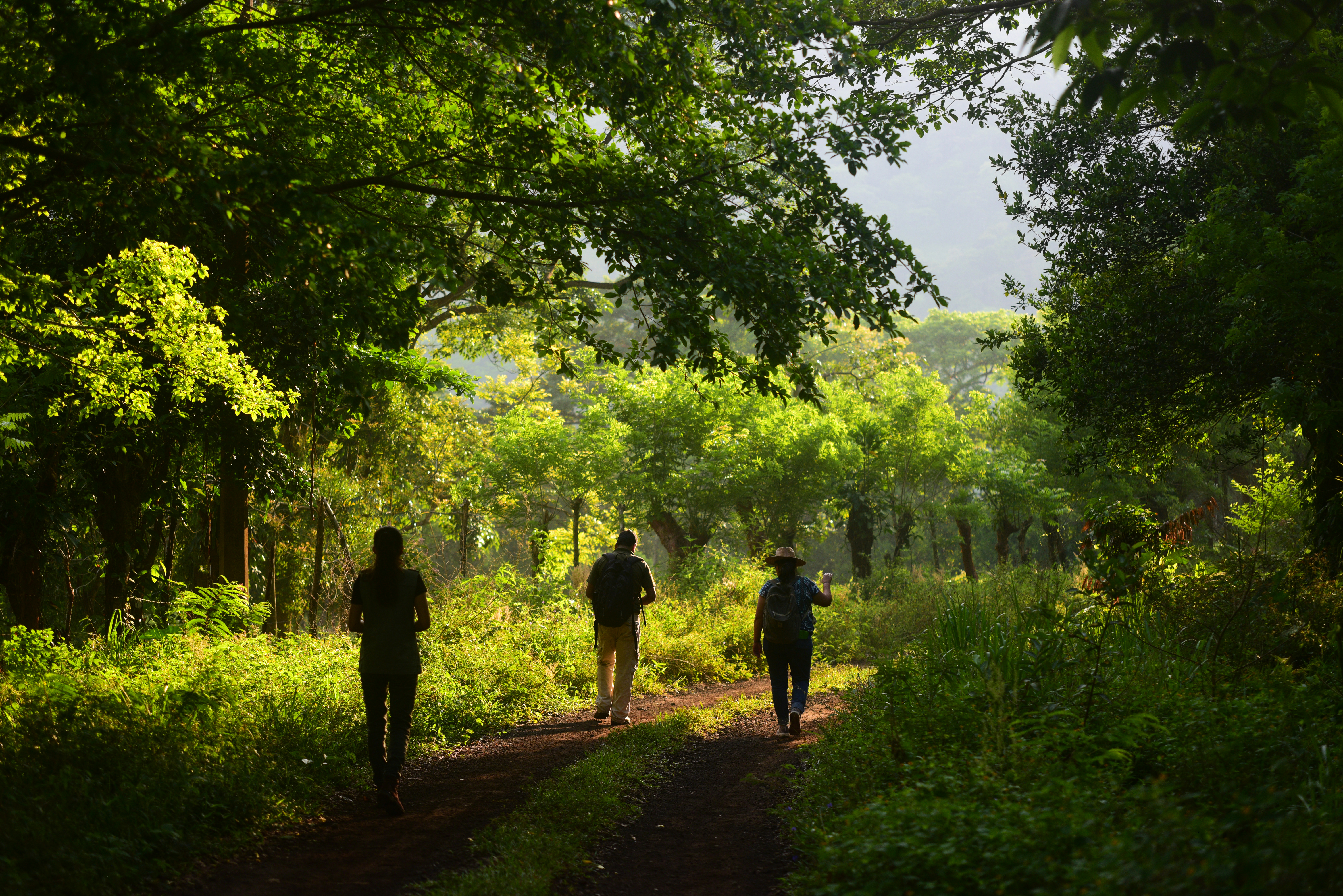 Selva del Marinero: ecoturismo entre la selva y la Sierra de Santa Martha