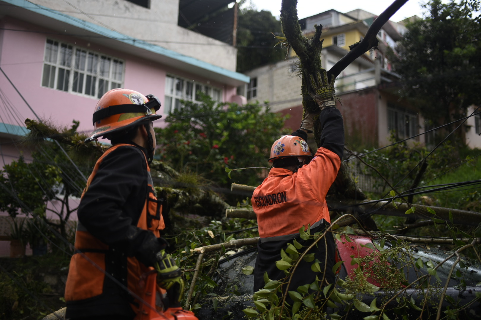 Lluvias desbordan canal y derriban árboles en Xalapa