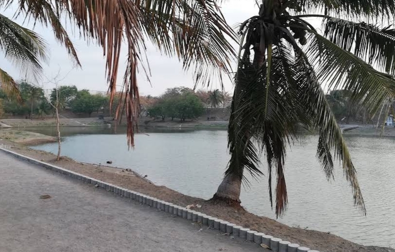 Realizan limpieza en cinco lagunas interdunarias del municipio de Veracruz
