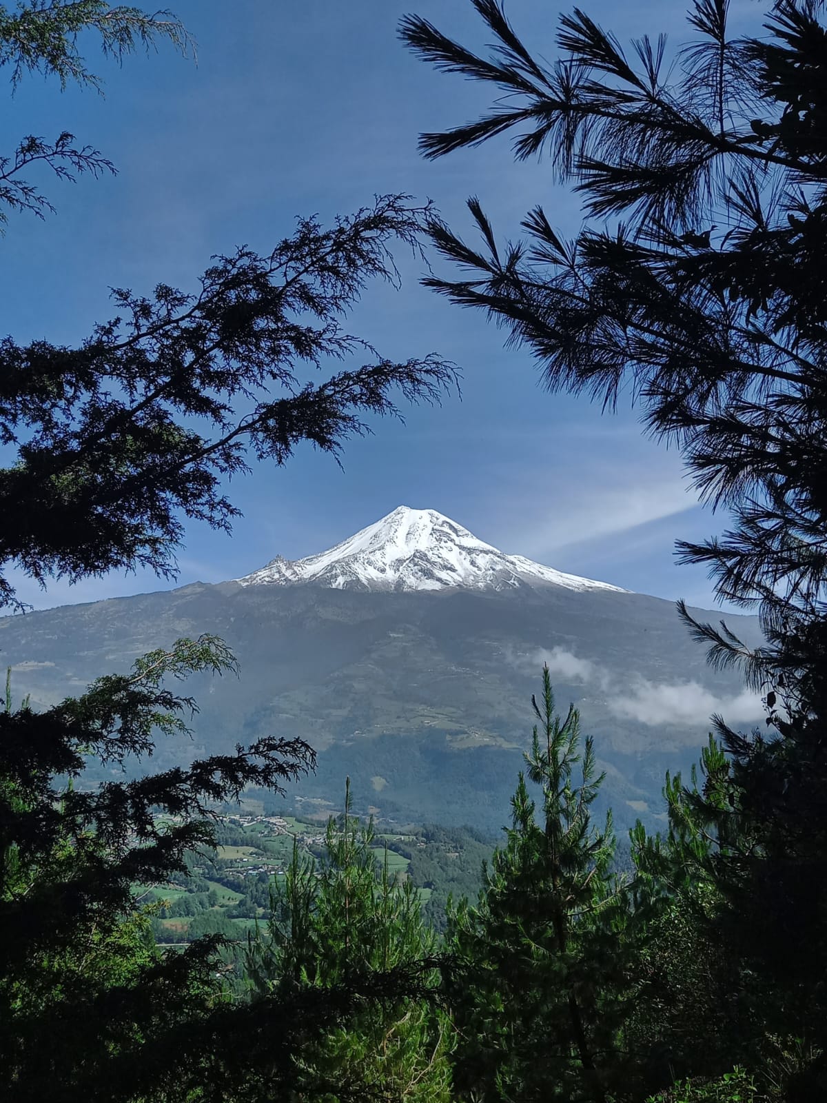 El Berro: senderismo, bosques y naturaleza en Mariano Escobedo