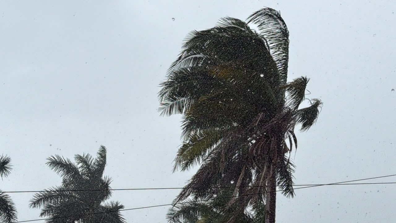 Prevén lluvias y temperaturas de hasta 36 grados en el norte de Veracruz este domingo