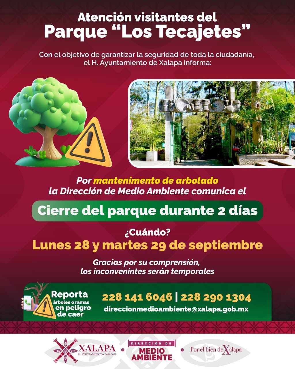 Cierran parque Los Tecajetes en Xalapa por mantenimiento de árboles