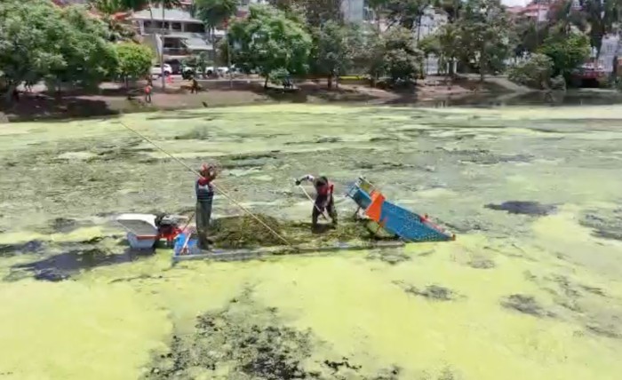 Inician limpieza del lago de Las Ánimas en Xalapa; falta saneamiento